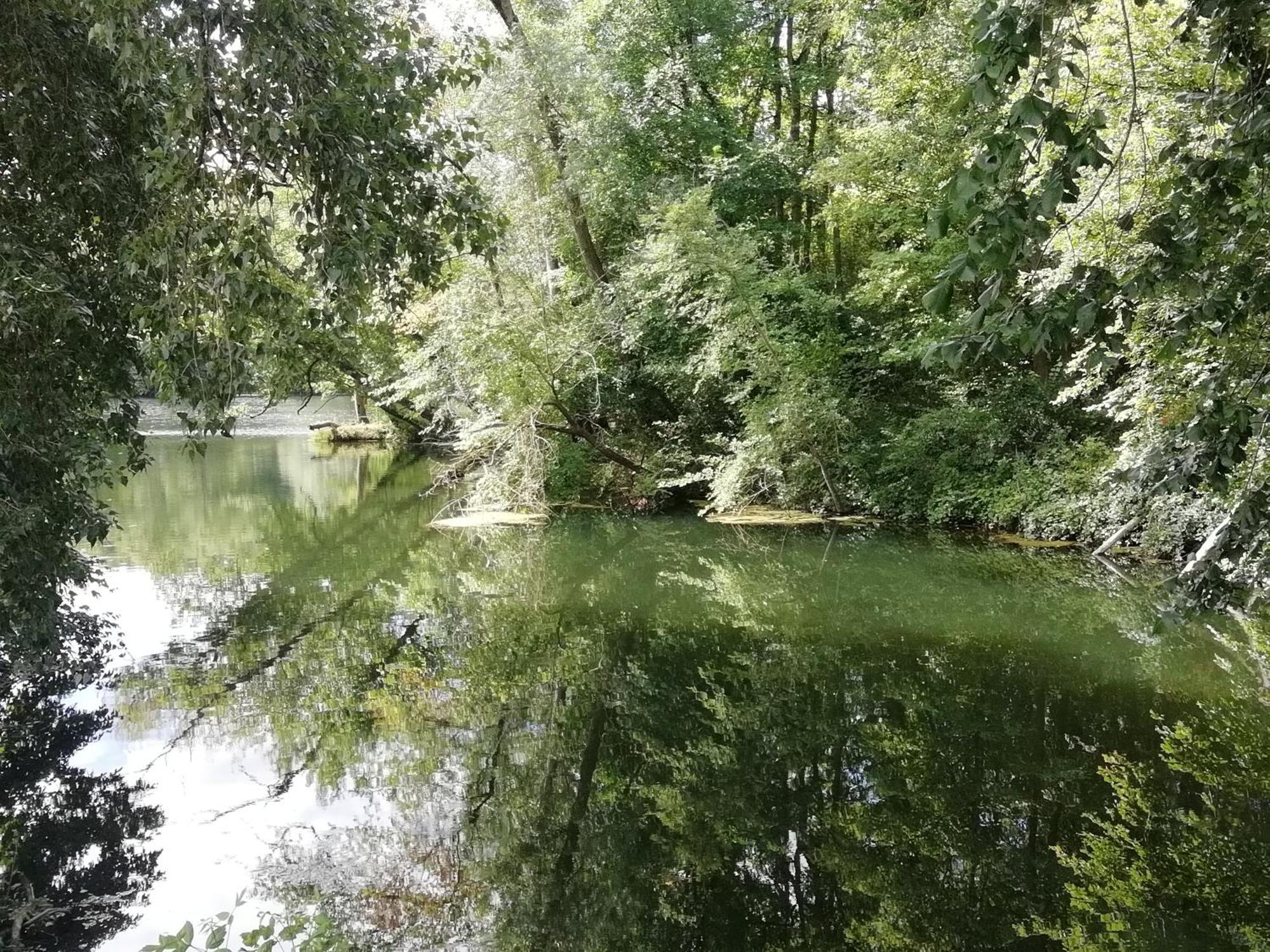 Studio Au Coeur De La Vallee De La Loire Azay-sur-Cher ภายนอก รูปภาพ
